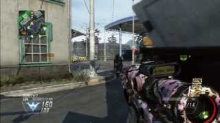 Bo2 Quad on screen