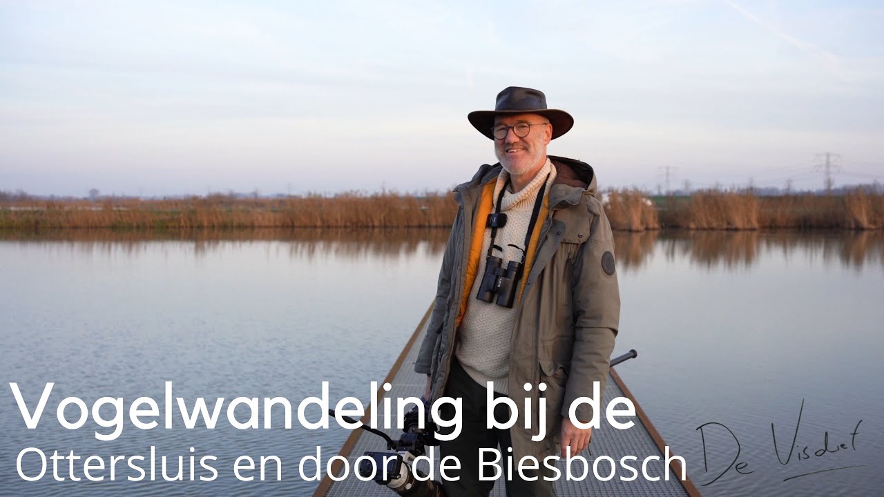 Vogelwandeling bij de Ottersluis en door de Nieuwe Dordtse Biesbosch #1779