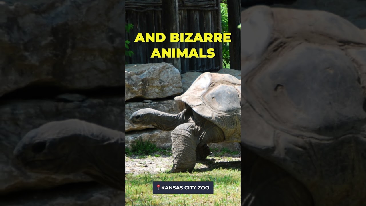 15 Fun Things to Do in Kansas City with Kids