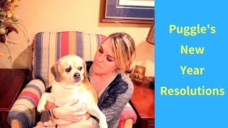 **Puggle's New Year Resolutions** - Just Veganin