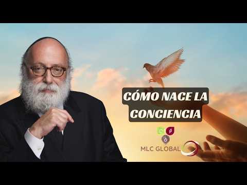 Cómo nace la conciencia