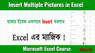 How to Insert Multiple Pictures at Once in Excel l Insert Multiple Picture & Resize l Bivash Academy