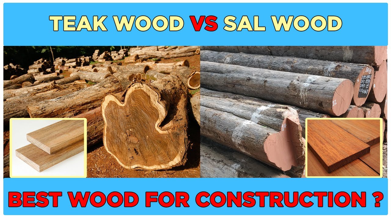 TEAK WOOD VS SAL WOOD difference between teak wood and sal wood