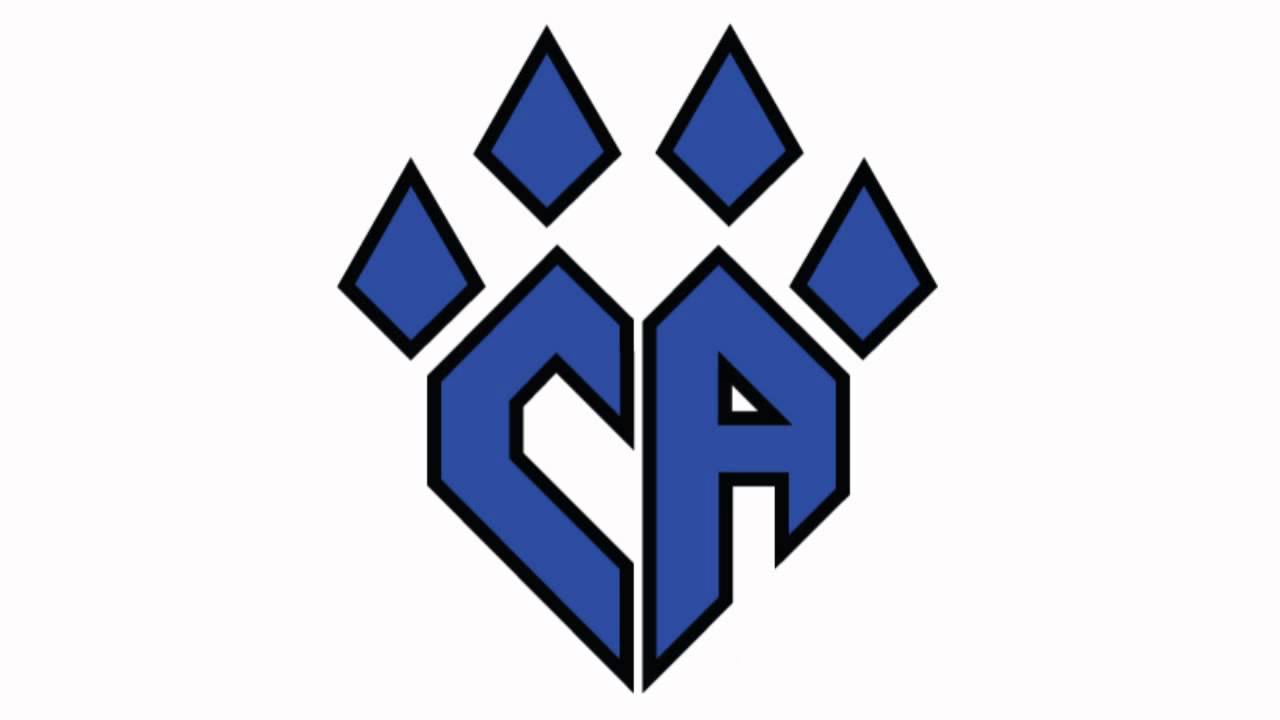 Cheer Athletics Wild Cats 2013-2014 Mix