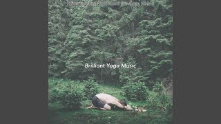 High Class Backdrops for Yoga Flow
