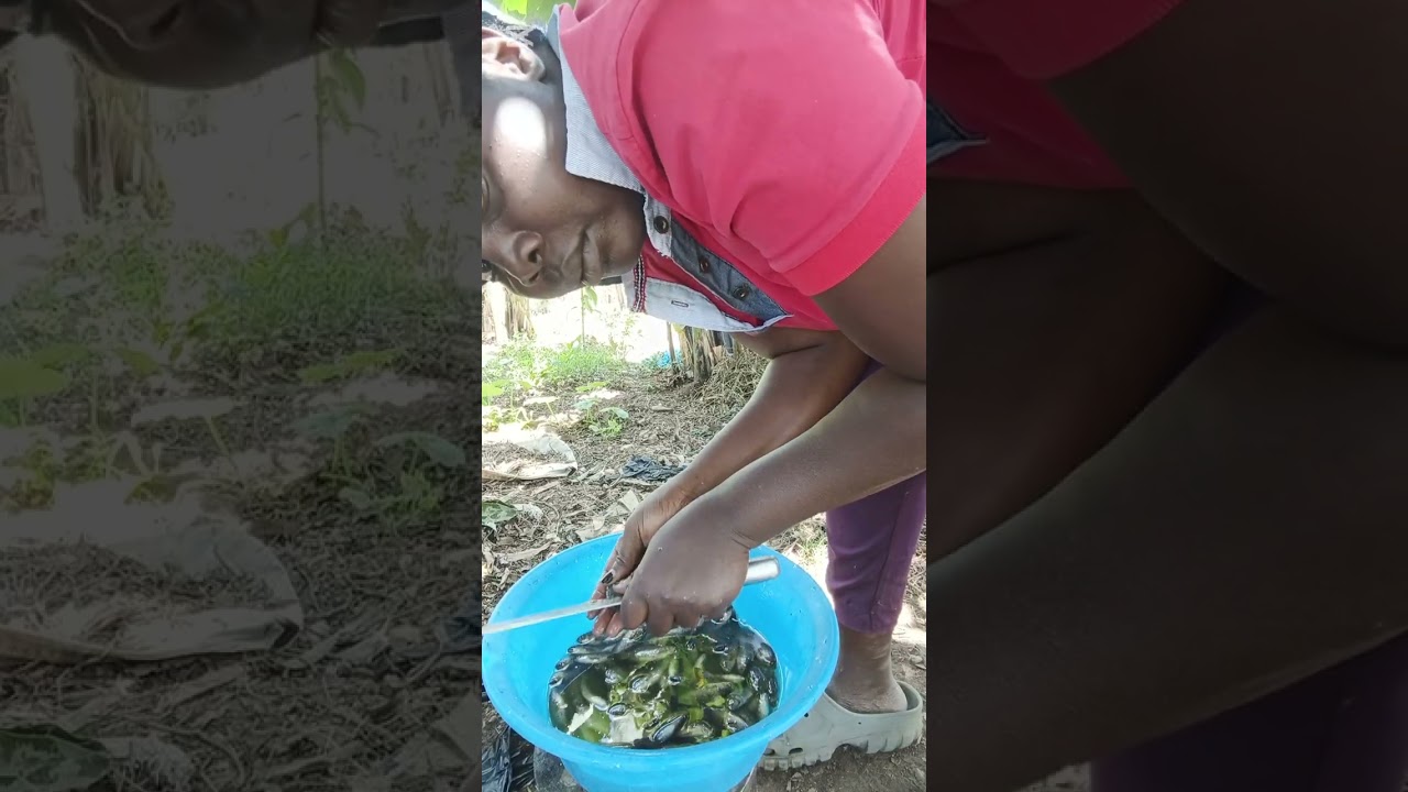 How to clean live mud fish and preserve 