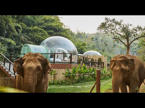 Virtual Tour of Anantara Golden Triangle | Wedaways