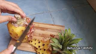 Tutorial Kupas Nenas