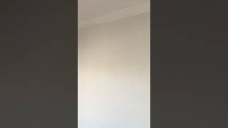 Filli Boya Momento Max Renk Ipeksi 35