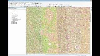 Basic Viewing in LP360 for ArcGIS