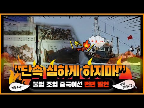 불법 조업 중국 어선 수 급격 증가? 중국, 한국에 “단속 심하게 하지 말아라”