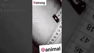 49Cm Of Forearm Guys