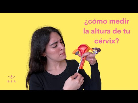 Cómo Medir la Altura de tu Cérvix | Elige la talla de tu Copa o Disco