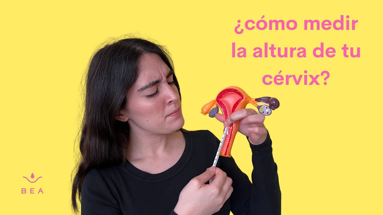 Cómo Medir la Altura de tu Cérvix | Elige la talla de tu Copa o Disco