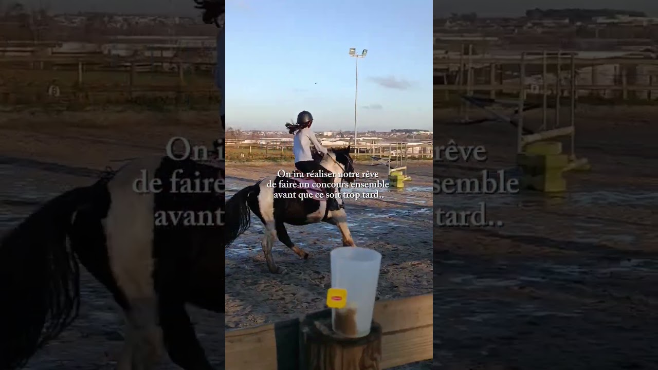 je change peut être de club l'année prochaine il faut que je choisisse bientôt..