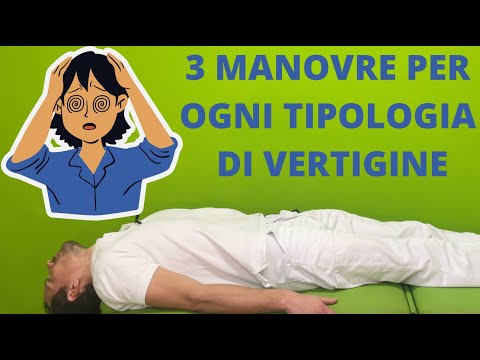VERTIGO: Which maneuver should I do? Here are 3