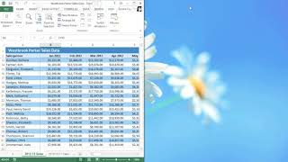Excel 2013  Freezing Panes and View Options