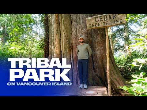 Enjoy the beautiful nature of the Tribal Park on Vancouver Island with Thomas Müller