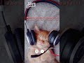 "☕ Cozy Chill Lofi Mix 2025 | Lo-Fi Hip Hop Beats to Study &amp; Relax 🎧✨"