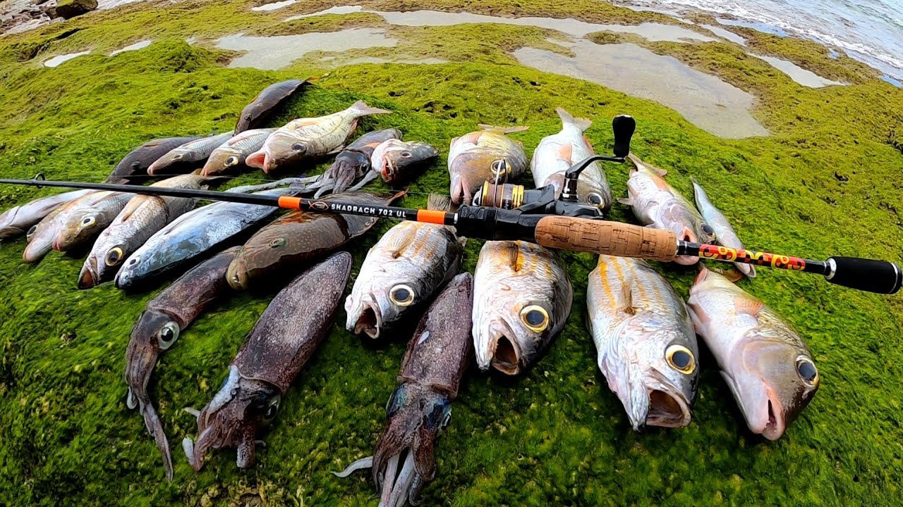 Shadrach 702 UL Rod Fieldtest❗️