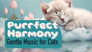 Piano Music for Cats to Relax & Sleep: Gentle Harmony