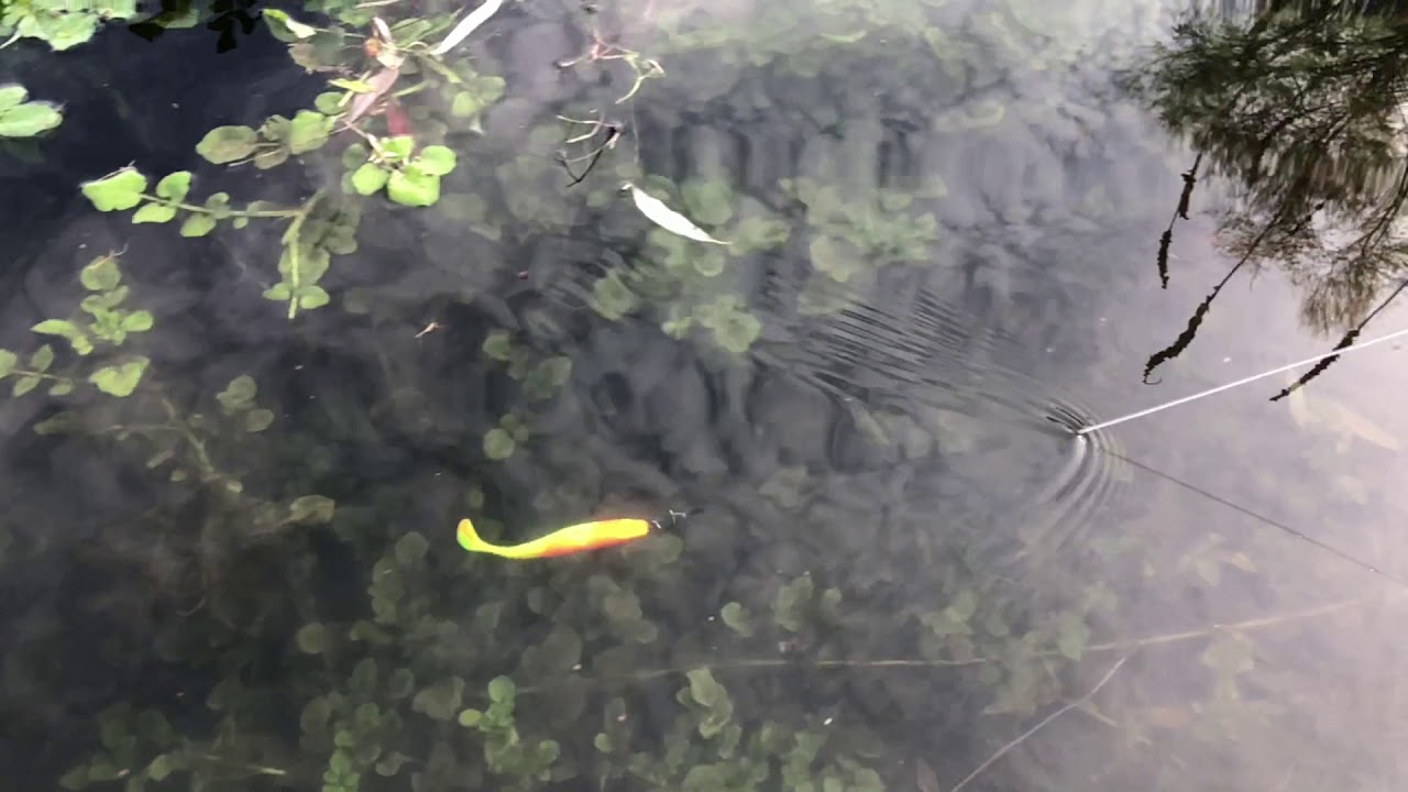 Berkley Flex Cutt Shad