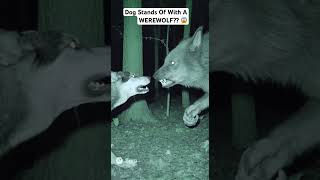 Dog Stands Of With A Werewolf?