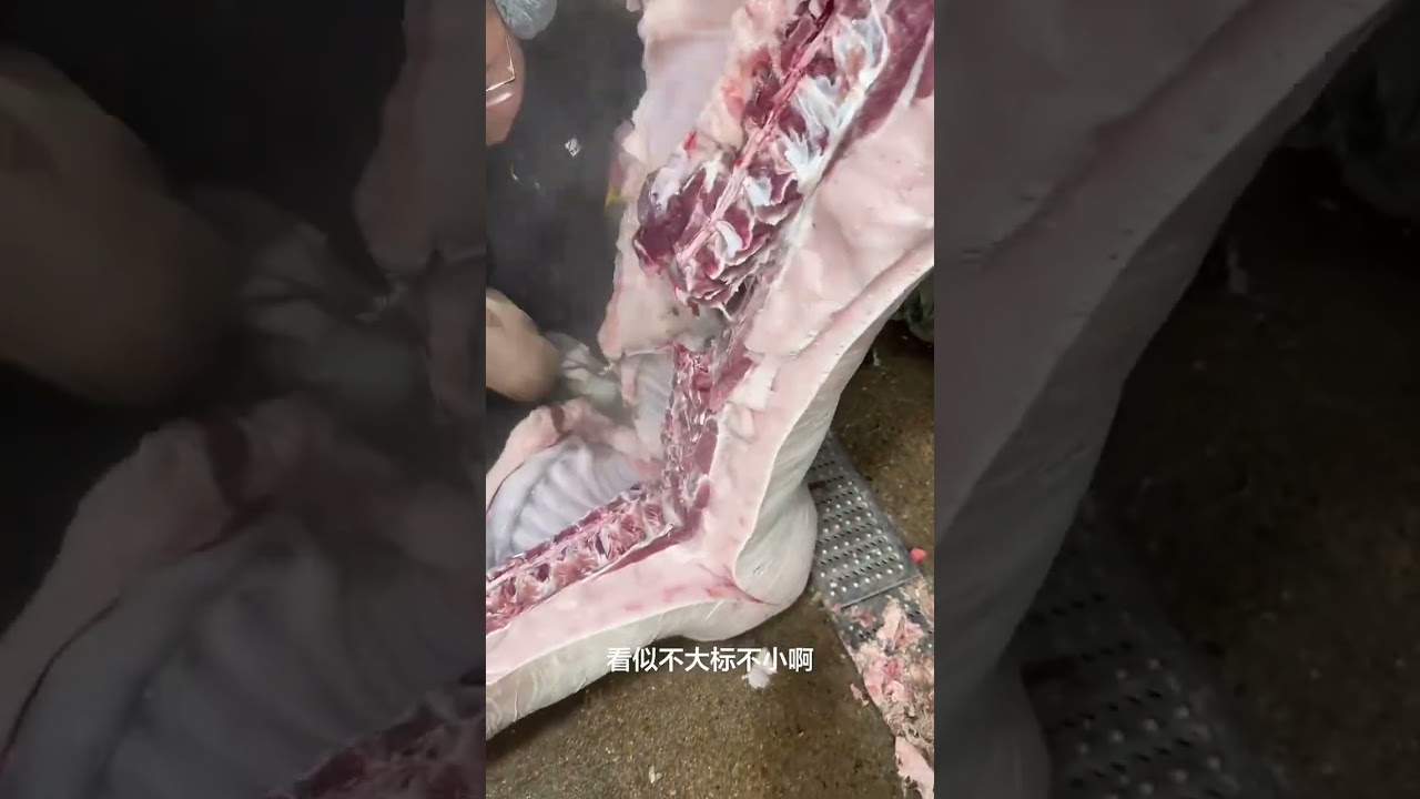 Butcher Shop Meat Cutting Process