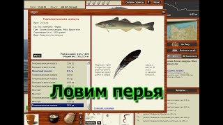 Русская Рыбалка 3.99 (Russian Fishing) Ловим перья на Заливе Александры