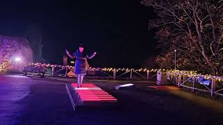 " Guildford Castle Illuminated - 2025" Wealth