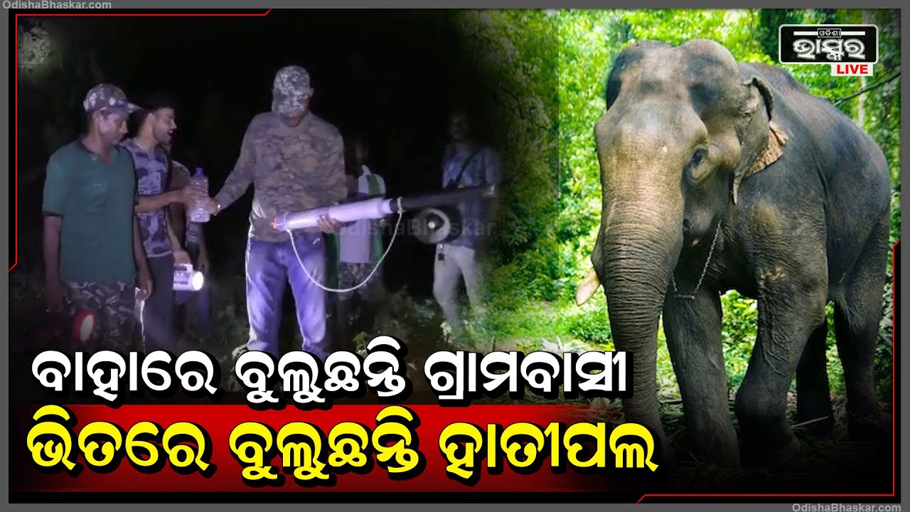ରାତିରେ ଅନ୍ଧାର ମାଡି ଆସିଲେ ବାହାରେ ଲୁଚି ଲୁଚି ବୁଲୁଛନ୍ତି ଗ୍ରାମବାସୀ, ଭିତରେ ବୁଲୁଛନ୍ତି ହାତୀପଲ
