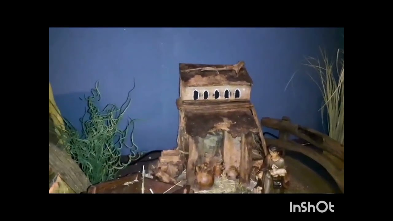 Kerstdag - 2e Kerstdag - 26 December - 2025 - Zeven geitjes - deel 3