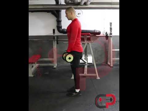 Bilateral Romanian Deadlift (RDL) with dumbbells - YouTube