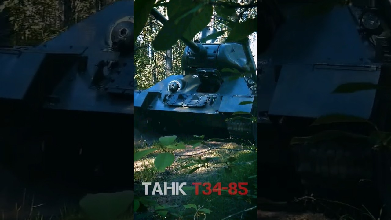 Танки Т34-85 в Ленинградских лесах? 