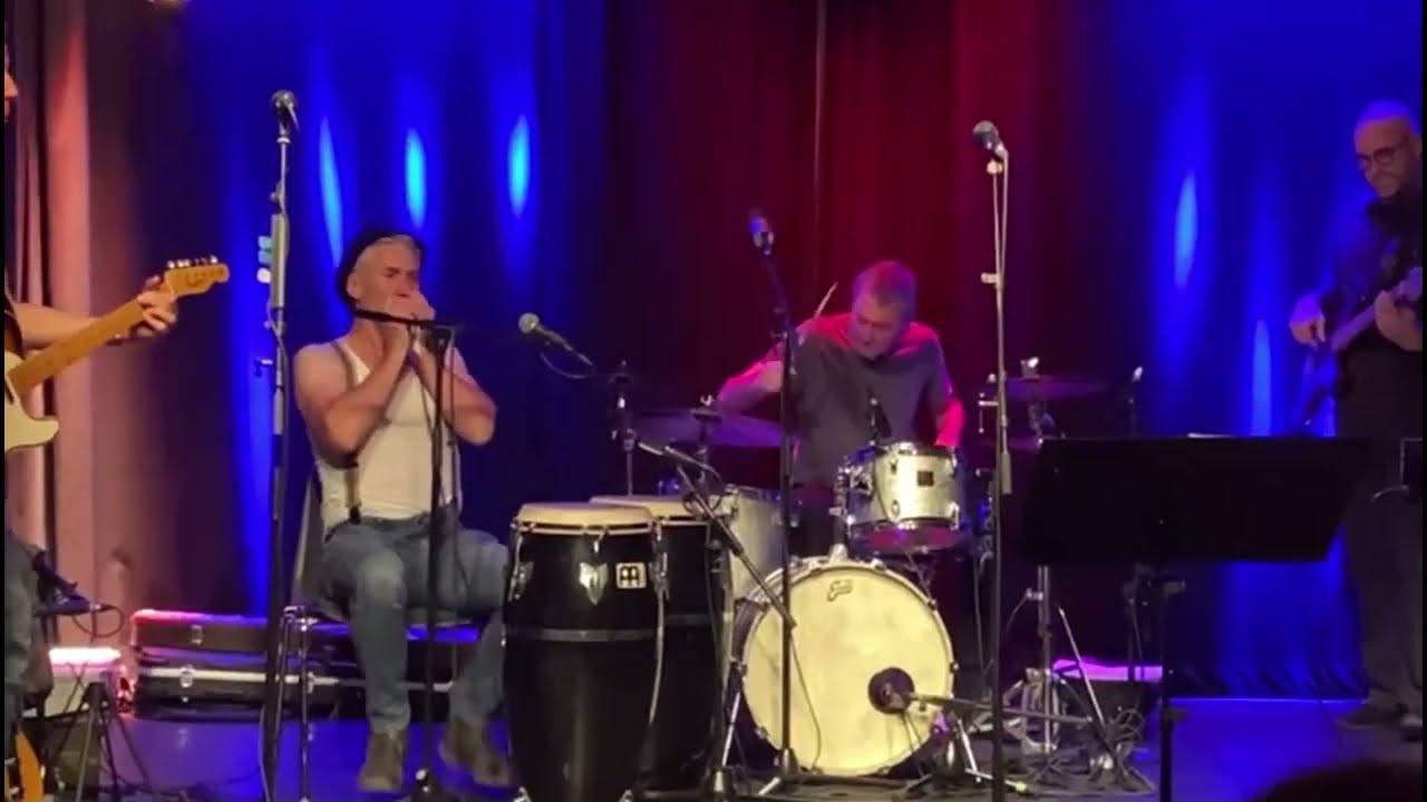 The Blues had a Baby and they named the Baby Rock´n´Roll