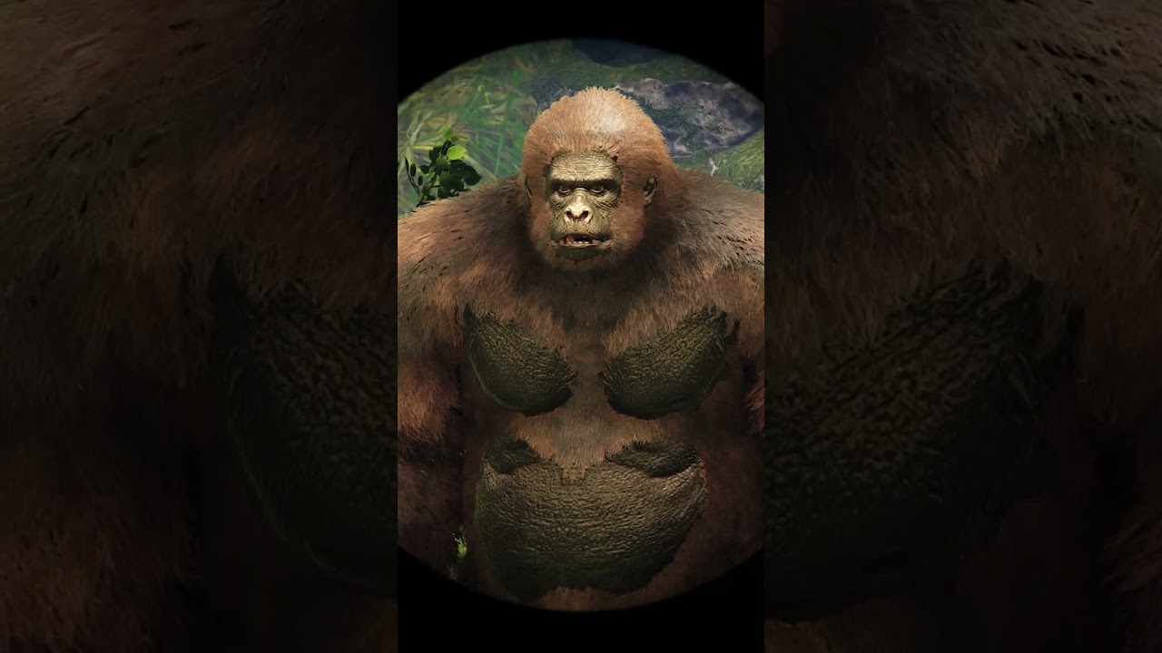 Teasing the gorilla and the ending -Ark Funny