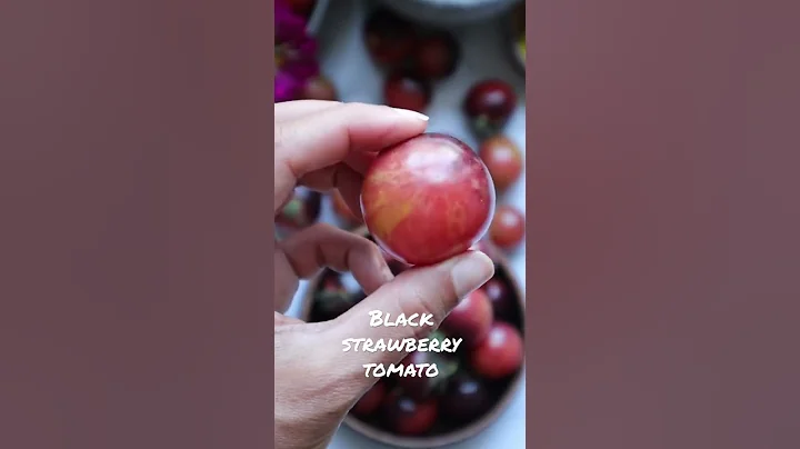 My favorite cherry tomato this year 😍 - DayDayNews