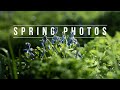 Take Stunning Spring Photos | Tutorial Tuesday