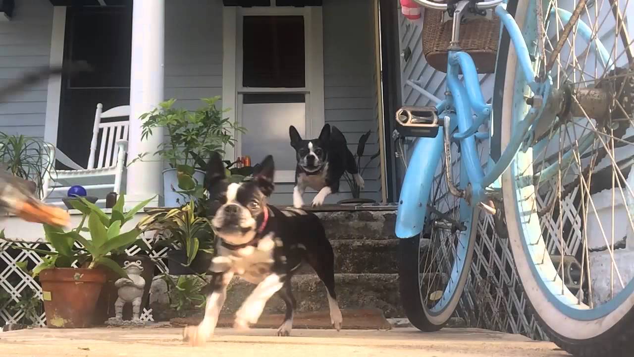 Meet Krista and Bryan Caldwell