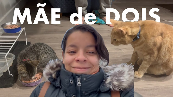 ADOTAMOS UMA GATINHA NOVA