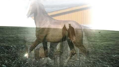 MEP Part 8 || The Catalyst