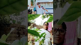 #bjpwestbengal #kolkatanews #trinamoolcongress #mamatabanerjeefunnyspeechhumbahumba #mamatabanerjee