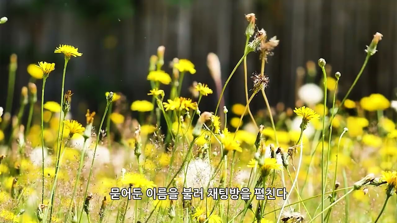 한국현대시조가곡II_풀꽃 단톡방_작시 최성아/작곡 이귀숙/소프라노 김정민/피아노 박노훈