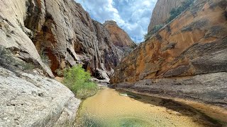 Hiking the Boulder Mail Trail, Death Hollow, Escalante River Loop - Escalante