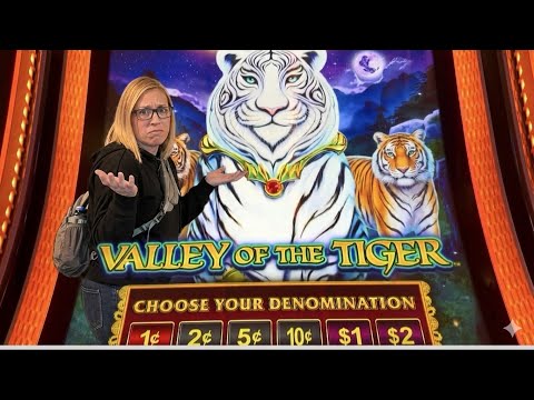 fairgo casino application