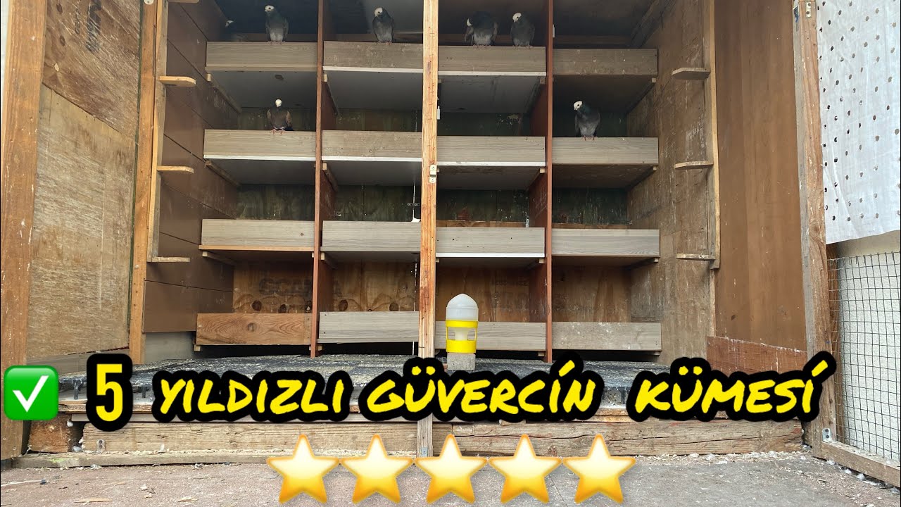 ✅ Güvercin kümesimizi sonunda bitirdik tam da istediğimiz gibi oldu✅ 