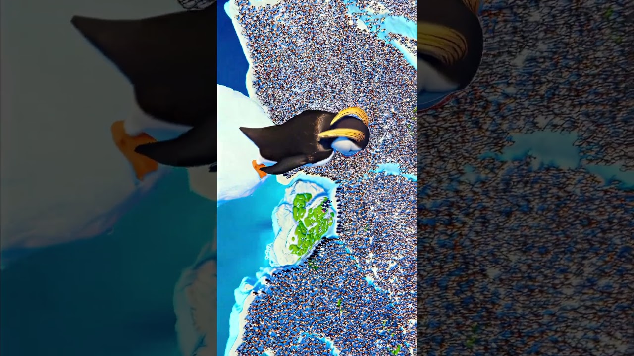 Happy Feet | Warner Bors. Picture's | 4K 60FPS Edit