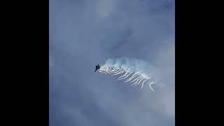 Never Gets Old! F-22 Raptor Flare Dump & Pedal Turn #shorts #aviation #f22raptor Wealth