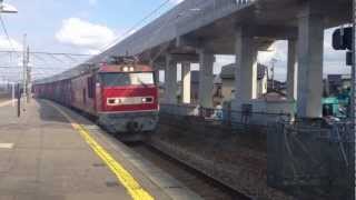 日本海縦貫線貨物列車4076レ 牽引機:EF510-19