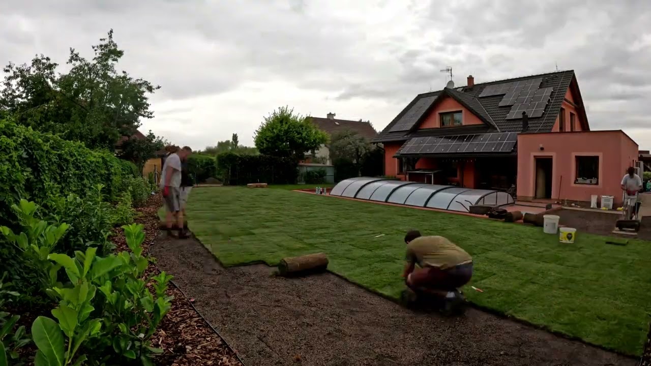 Kobercový trávník